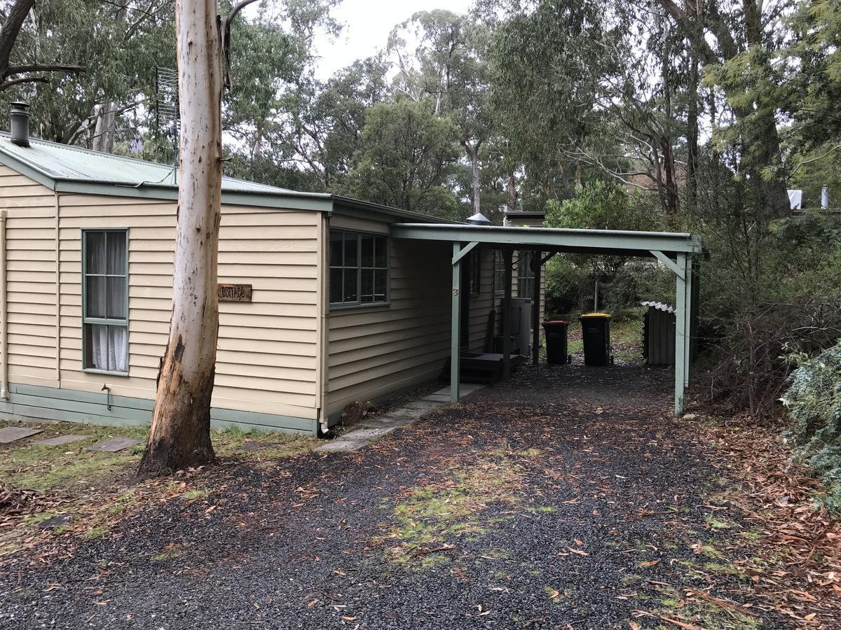 Day Dream Cottage Halls Gap Dış mekan fotoğraf
