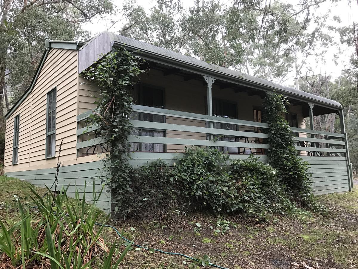 Day Dream Cottage Halls Gap Dış mekan fotoğraf